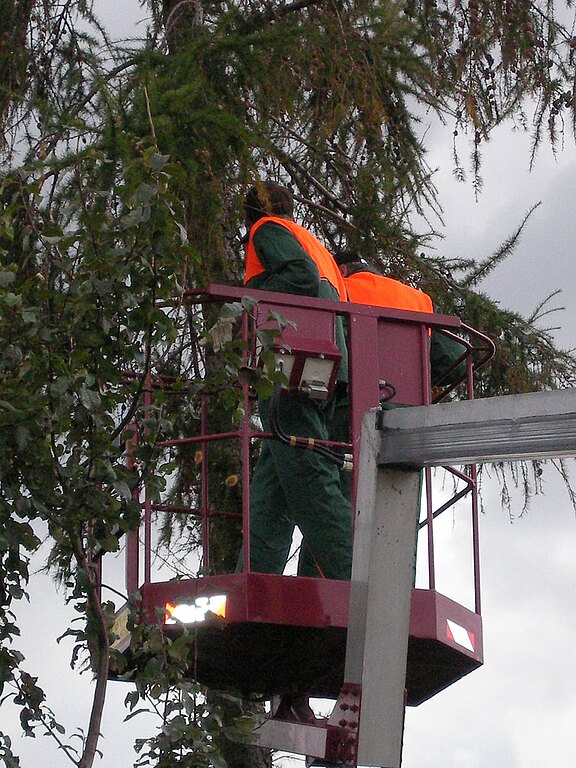 Anhänger Arbeitsbühne TMT 150